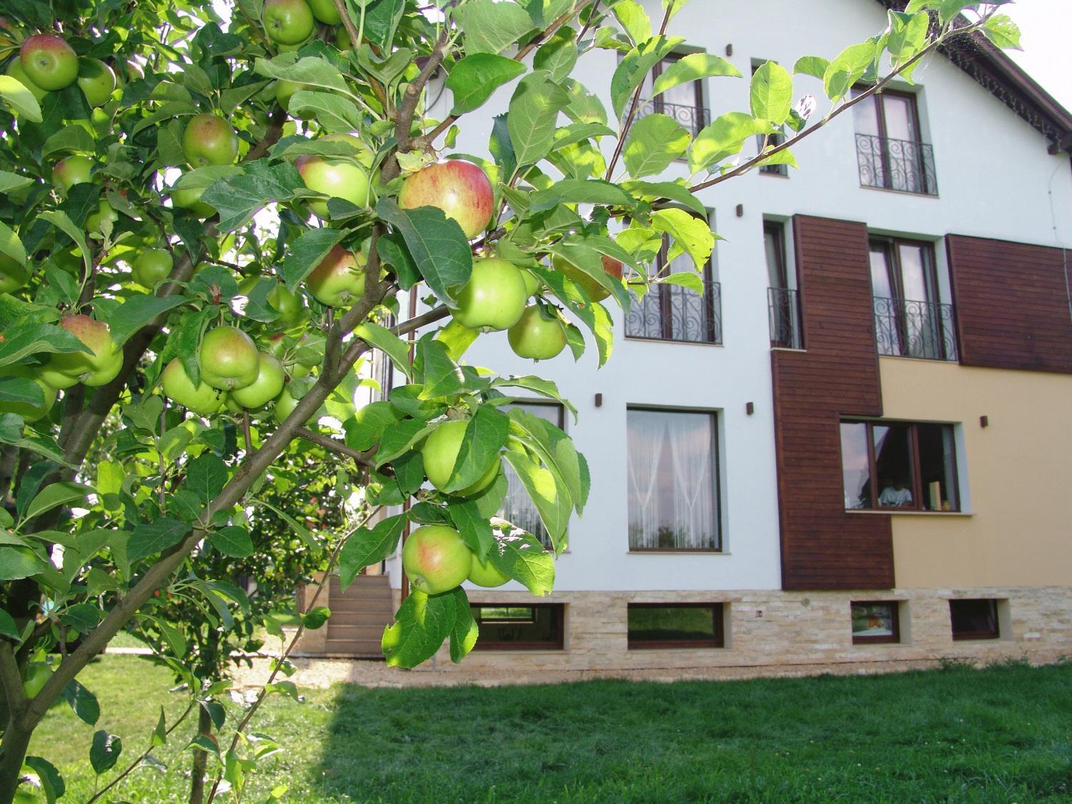Hotel Stupina Brașov Exterior foto
