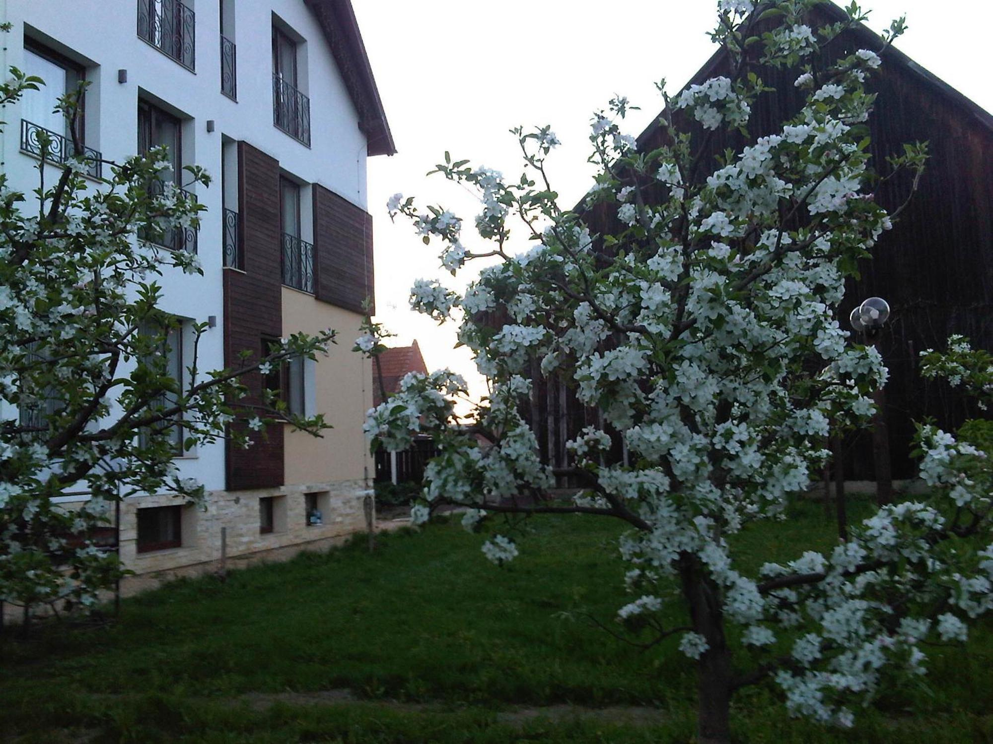 Hotel Stupina Brașov Exterior foto