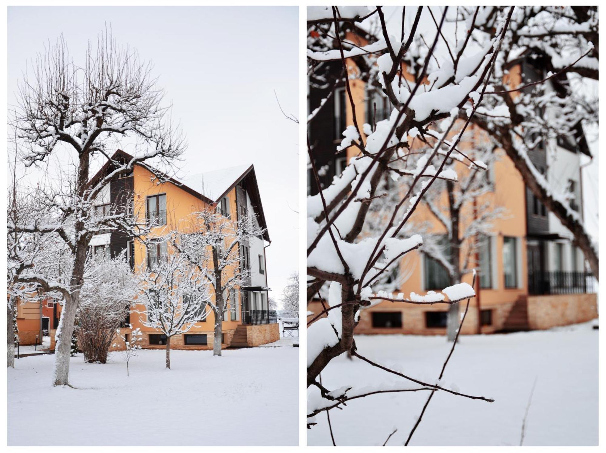 Hotel Stupina Brașov Exterior foto